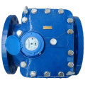 Nwm Water Meter (WP-SDC-250)